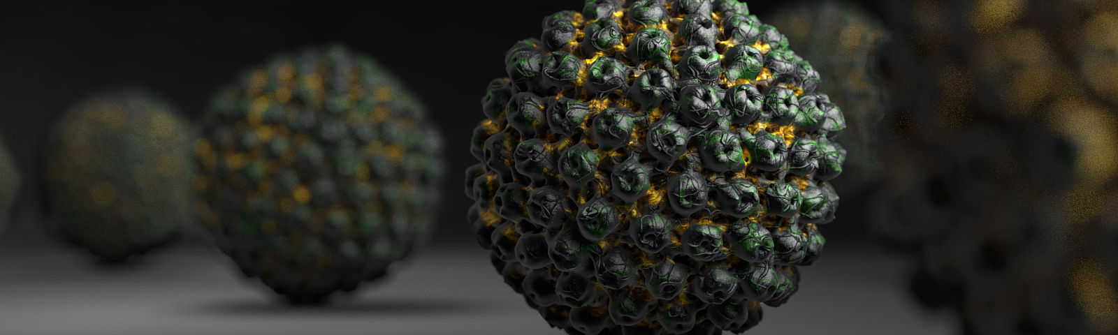 immune system cytomegalovirus CMV 3d scientific images
